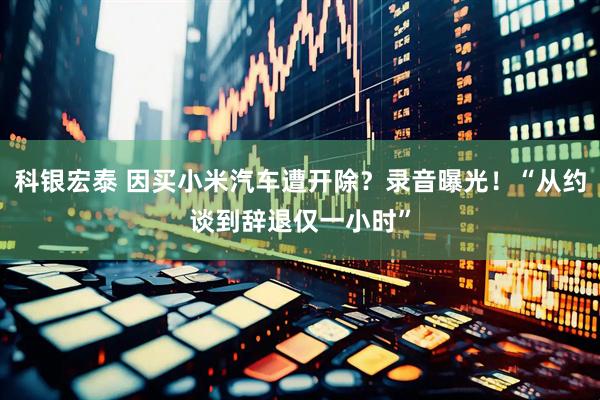 科银宏泰 因买小米汽车遭开除？录音曝光！“从约谈到辞退仅一小时”