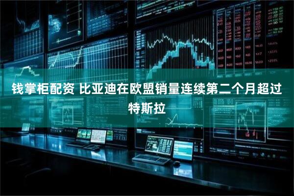 钱掌柜配资 比亚迪在欧盟销量连续第二个月超过特斯拉