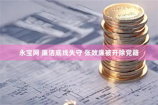 永宝网 廉洁底线失守 张效廉被开除党籍