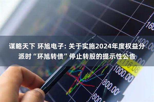 谋略天下 环旭电子: 关于实施2024年度权益分派时“环旭转债”停止转股的提示性公告