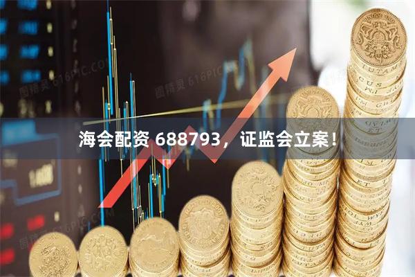 海会配资 688793，证监会立案！