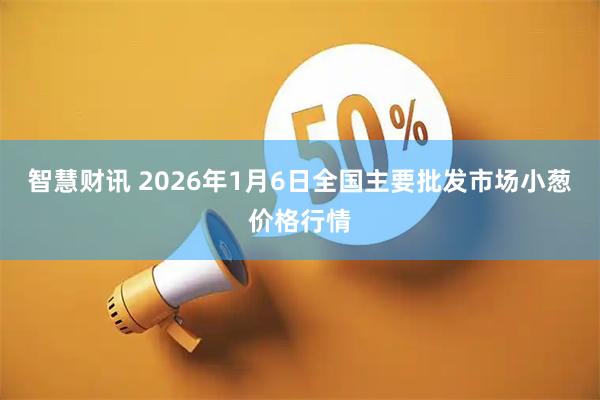 智慧财讯 2026年1月6日全国主要批发市场小葱价格行情