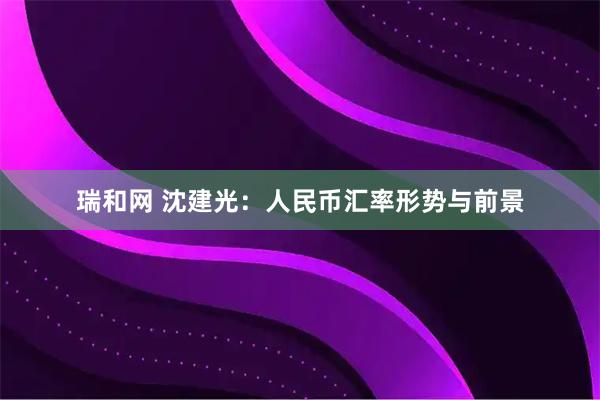 瑞和网 沈建光：人民币汇率形势与前景